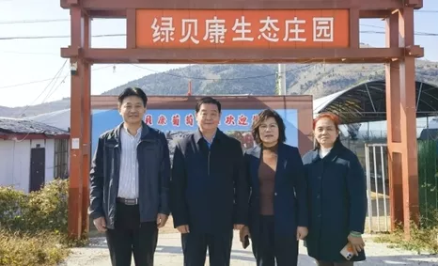 人物故事